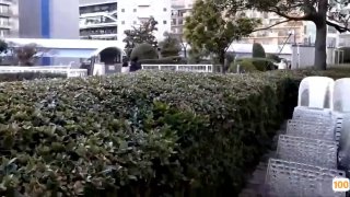百通馨苑一区近况|亚洲精品99久久久久中文字幕